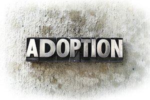 adoption, adoption lawyer, Geneva family lawyer, Illinois adoption, lawyer, attorney