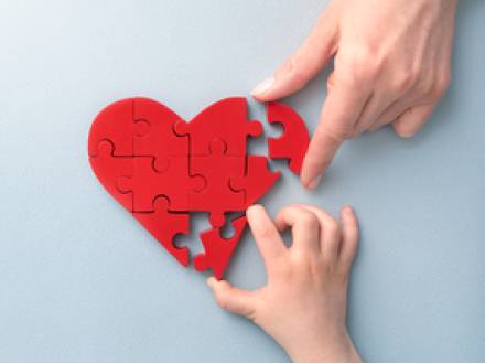 Kane County, IL adoption lawyer